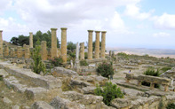 The Sanctuary of Apollo
