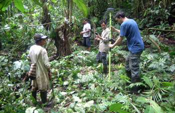 Ciudad Perdida